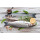 Premium Seafood