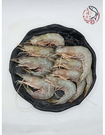 Local Sampan White Prawns 500G 本地玻璃明虾