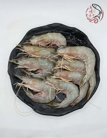 Local Sampan White Prawns 500G 本地玻璃明虾