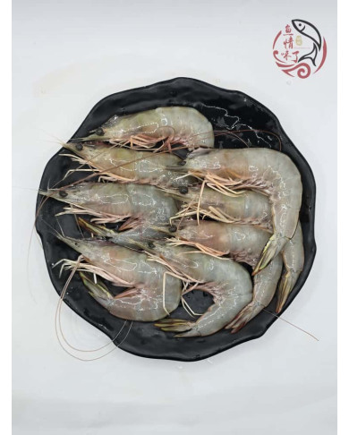 Local Sampan White Prawns 500G 本地玻璃明虾