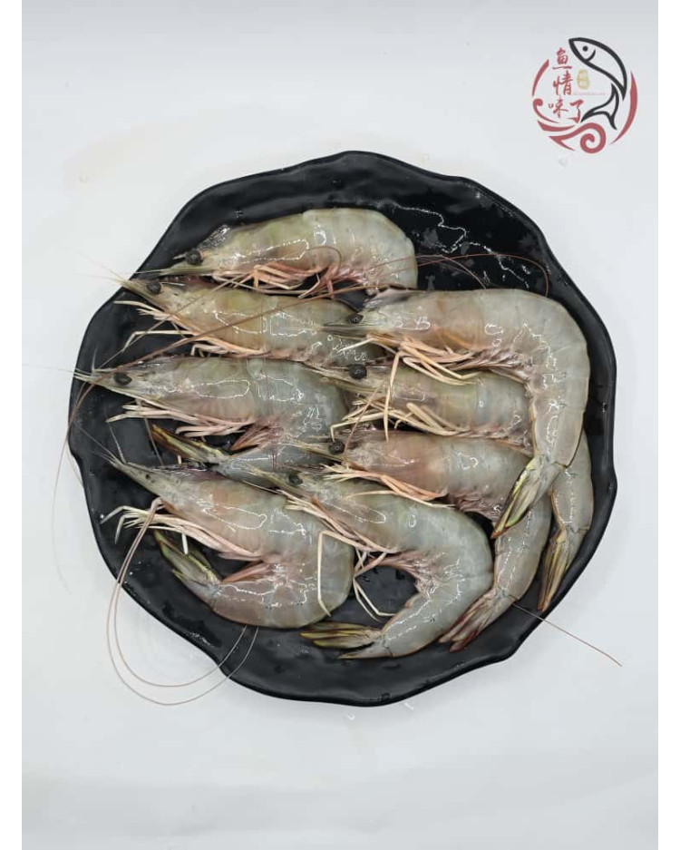 Local Sampan White Prawns 500G 本地玻璃明虾