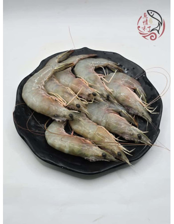 Local Sampan White Prawns 500G 本地玻璃明虾