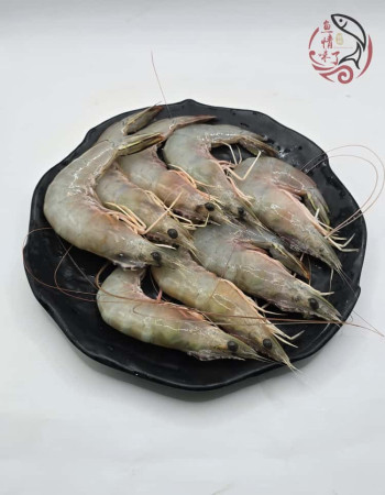 Local Sampan White Prawns 500G 本地玻璃明虾