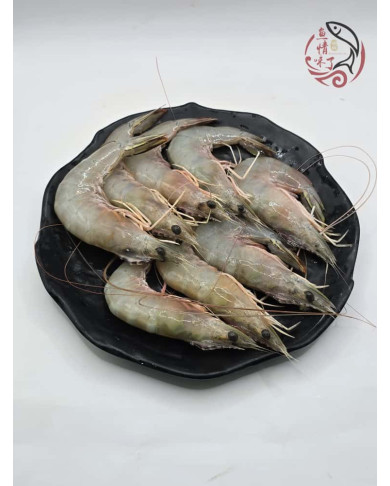 Local Sampan White Prawns 500G 本地玻璃明虾