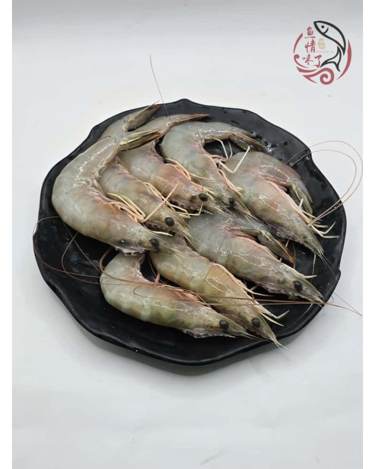Local Sampan White Prawns 500G 本地玻璃明虾