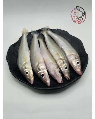 Local Ikan Burus AA 400G± 槟城沙咀鱼