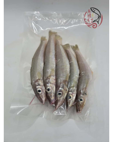 Local Ikan Burus AA 400G± 槟城沙咀鱼