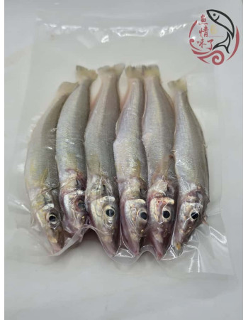 Local Ikan Burus AA 400G± 槟城沙咀鱼