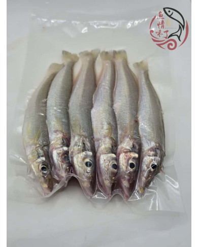 Local Ikan Burus AA 400G± 槟城沙咀鱼
