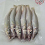 Local Ikan Burus AA 400G± 槟城沙咀鱼