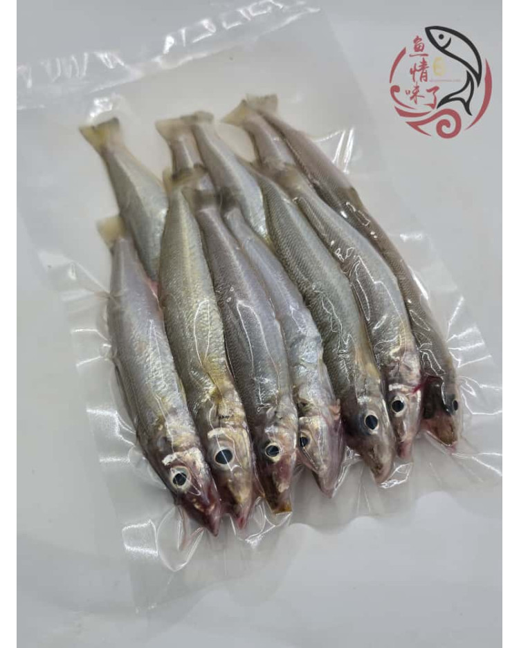 Local Ikan Burus C 400G± 槟城沙咀鱼