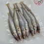 Local Ikan Burus C 400G± 槟城沙咀鱼