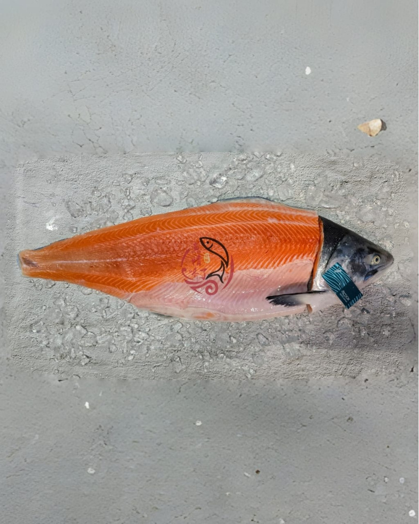 New Zealand Mt. Cook Alpine King Salmon Half Fish With Head 1.7KG± New Zealand Mt. Cook Alpine King Salmon Half Fish With Head 1.7KG±