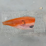 New Zealand Mt. Cook Alpine King Salmon Half Fish Without Head 1.4KG± New Zealand Mt. Cook Alpine King Salmon Half Fish Without Head 1.4KG±